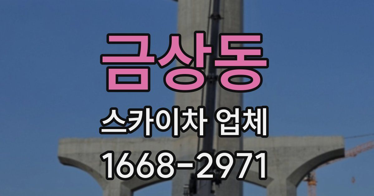 금상동 스카이차 업체