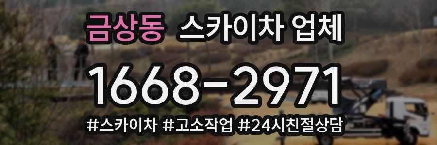 금상동 스카이차 업체