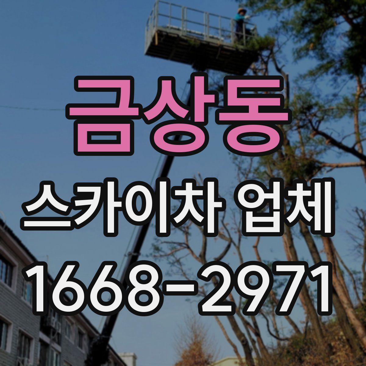 금상동 스카이차 업체