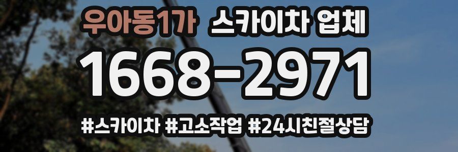 우아동1가 스카이차 업체