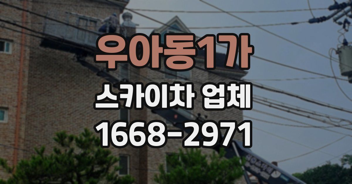우아동1가 스카이차 업체