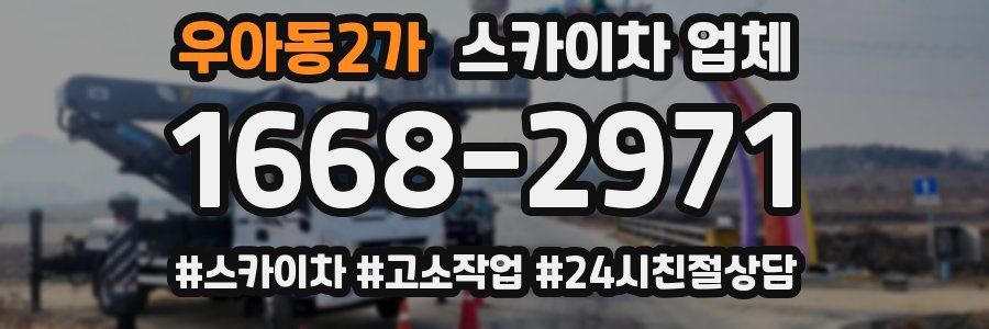 우아동2가 스카이차 업체