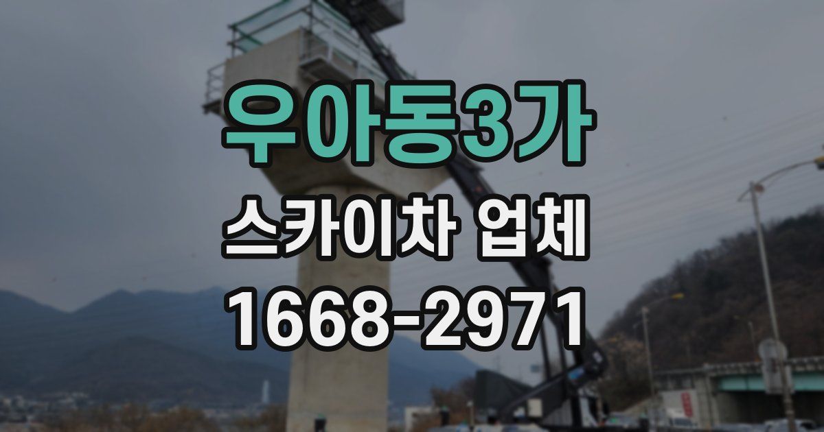 우아동3가 스카이차 업체