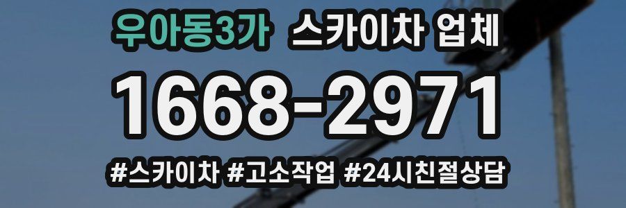 우아동3가 스카이차 업체
