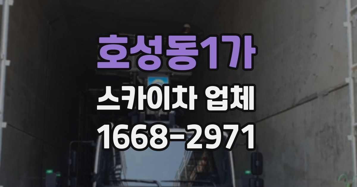 호성동1가 스카이차 업체