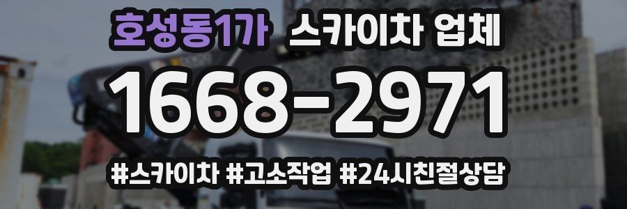 호성동1가 스카이차 업체