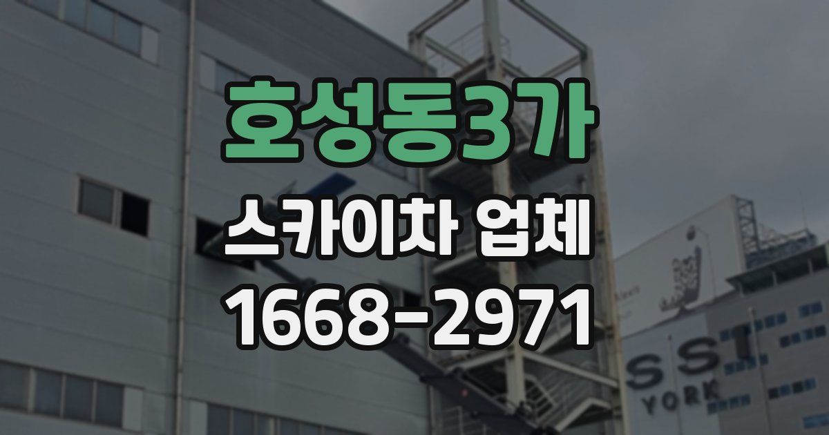 호성동3가 스카이차 업체
