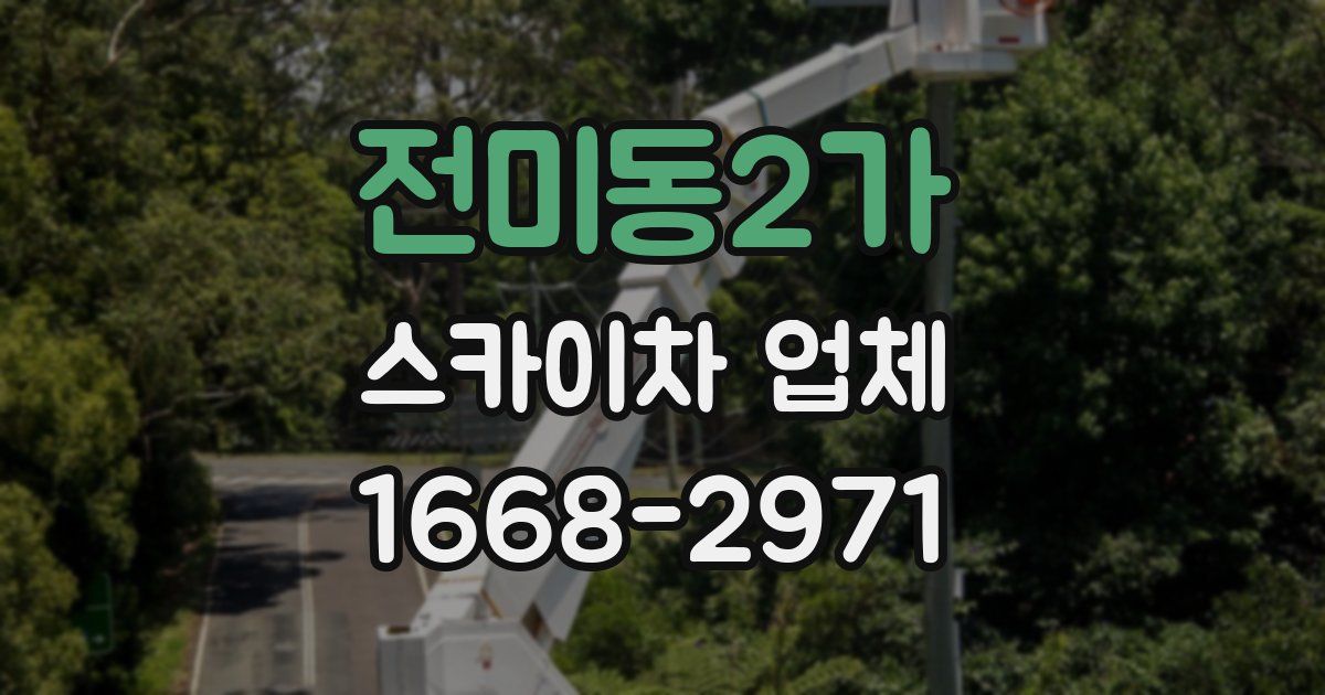 전미동2가 스카이차 업체