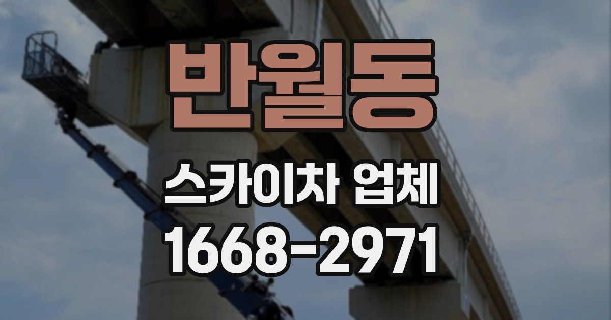 반월동 스카이차 업체
