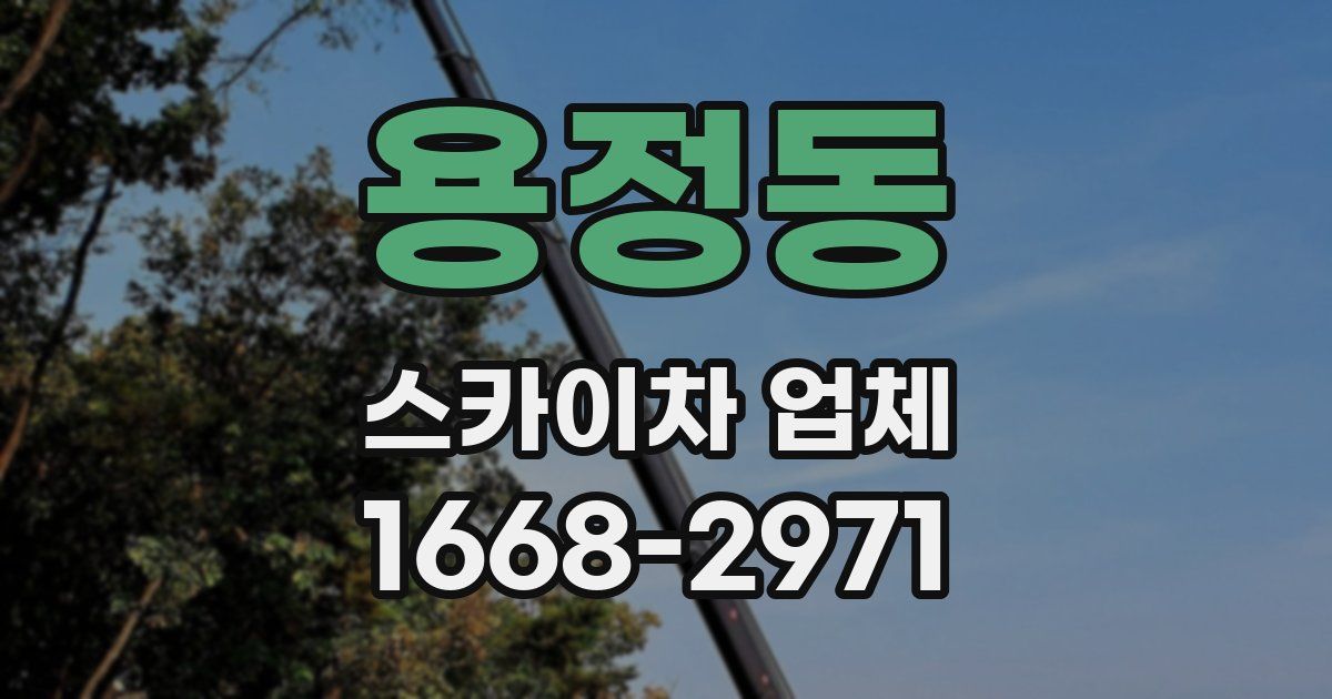 용정동 스카이차 업체
