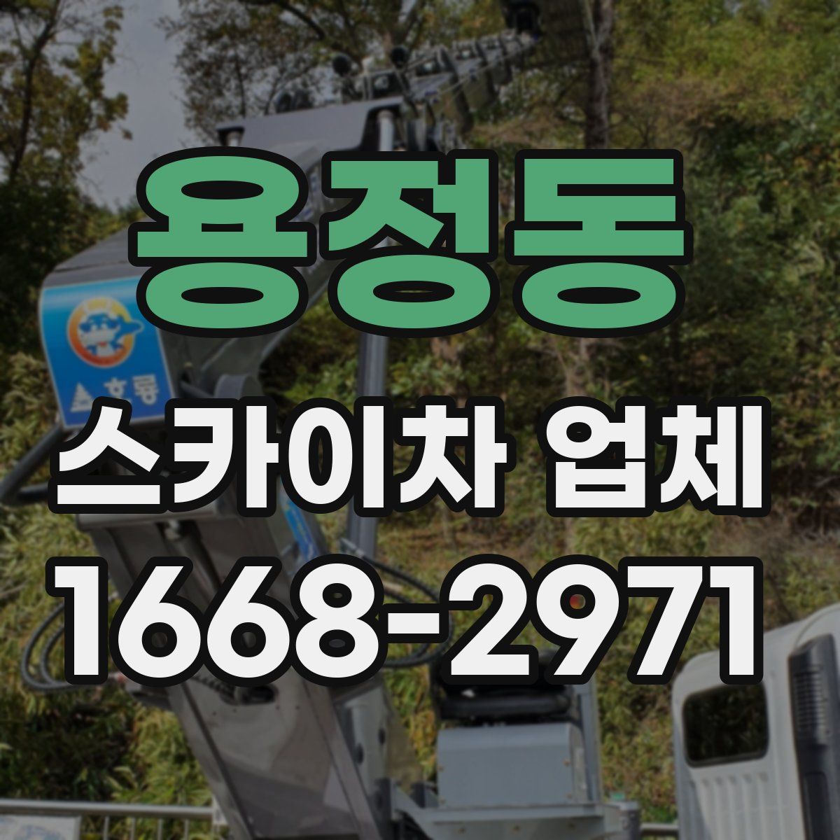 용정동 스카이차 업체