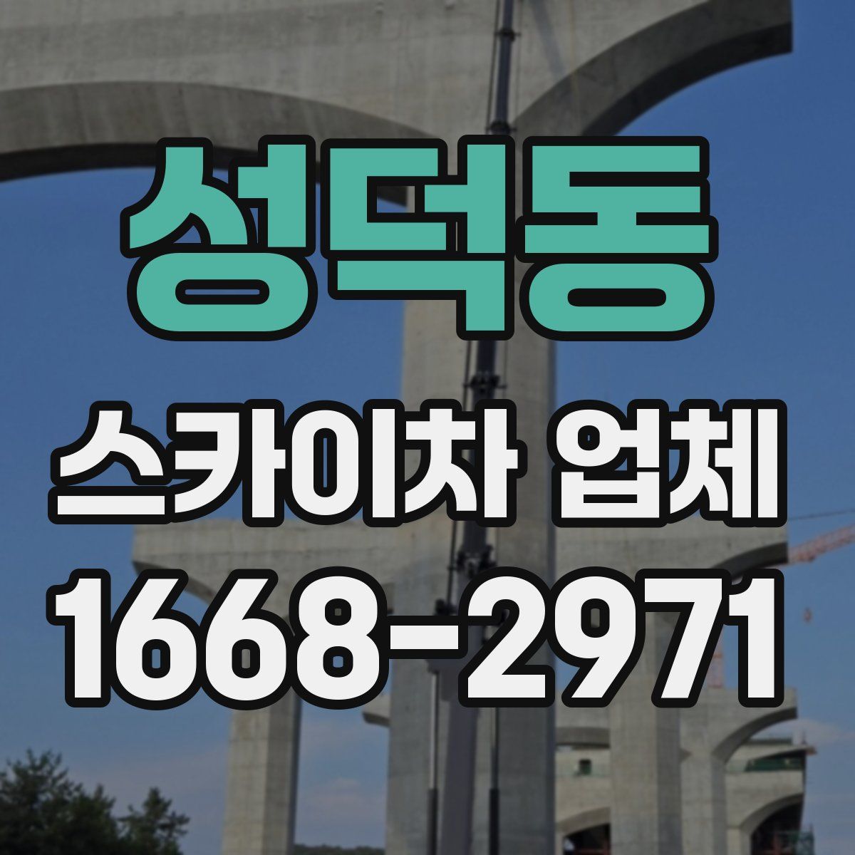 성덕동 스카이차 업체