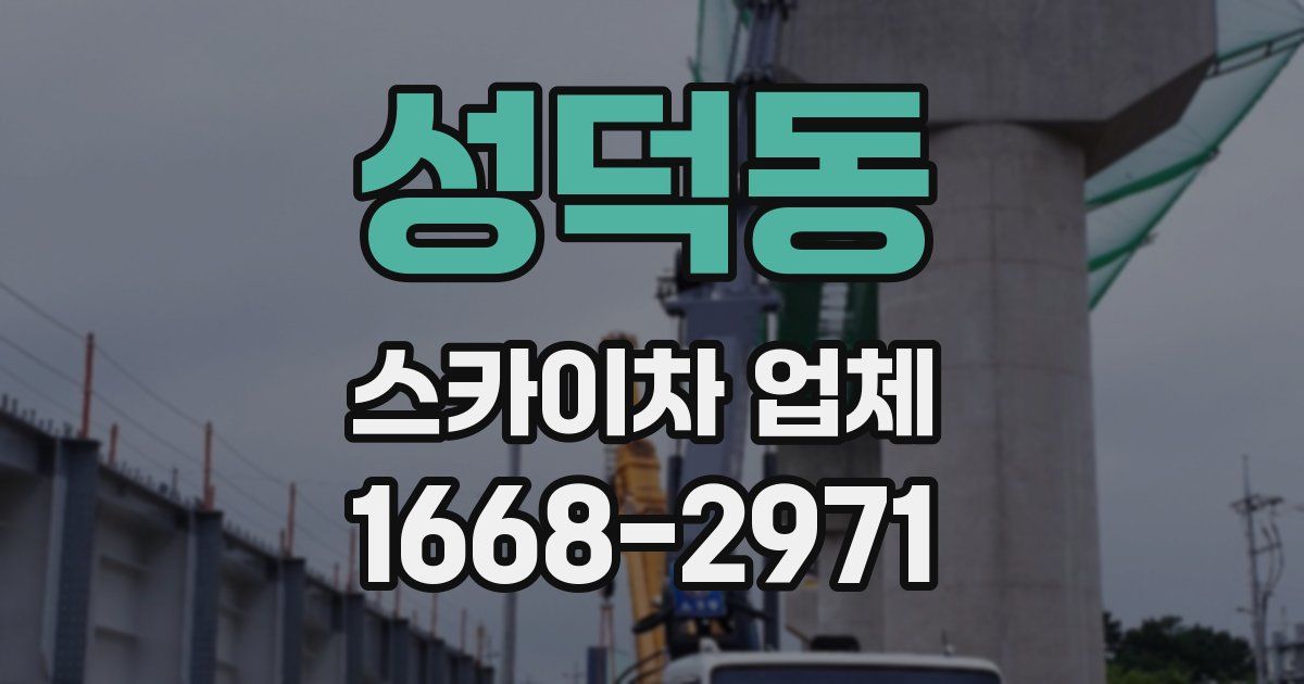 성덕동 스카이차 업체