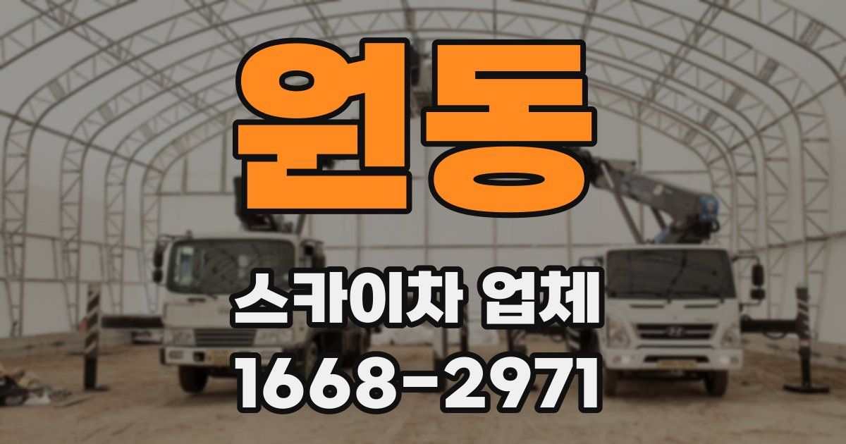 원동 스카이차 업체