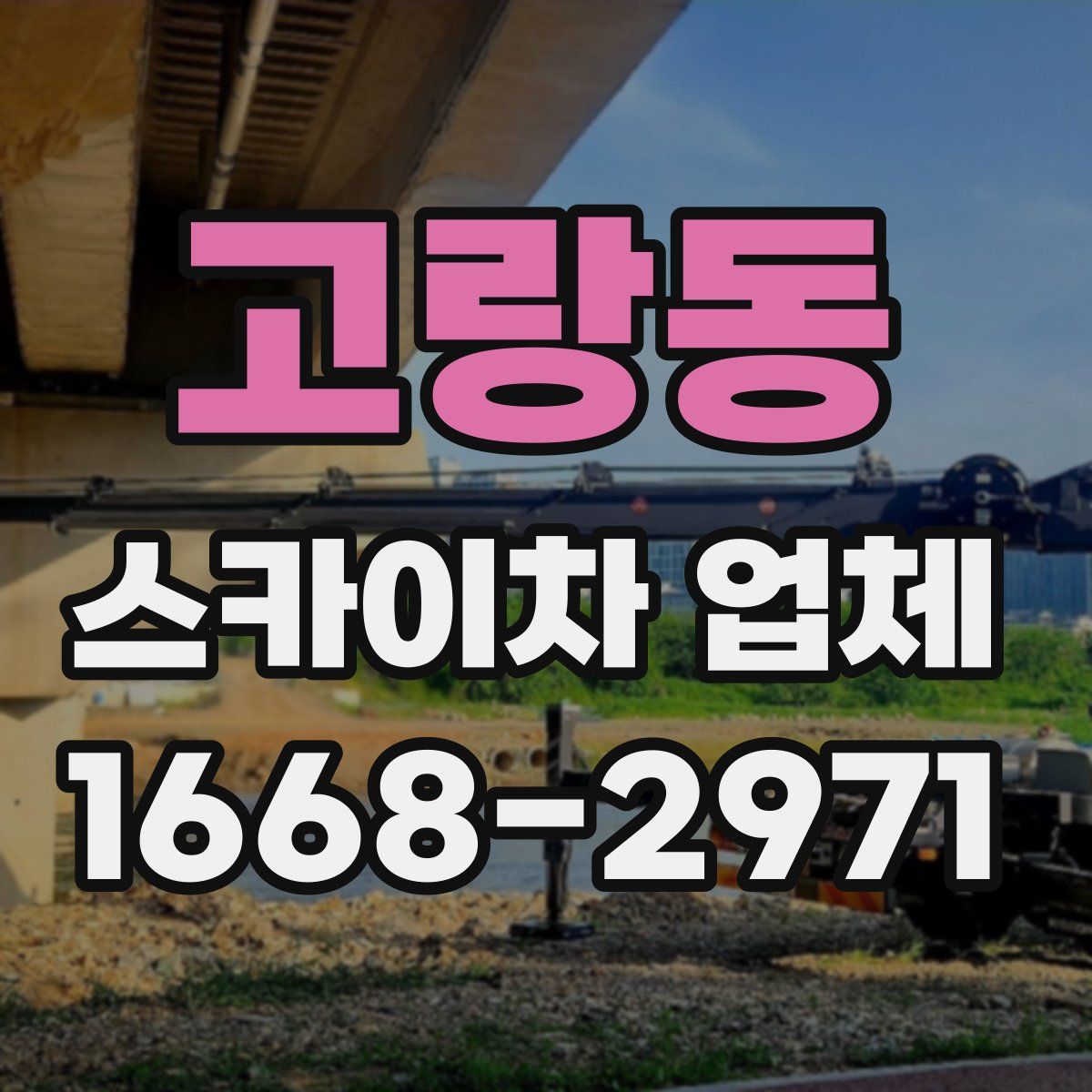 고랑동 스카이차 업체