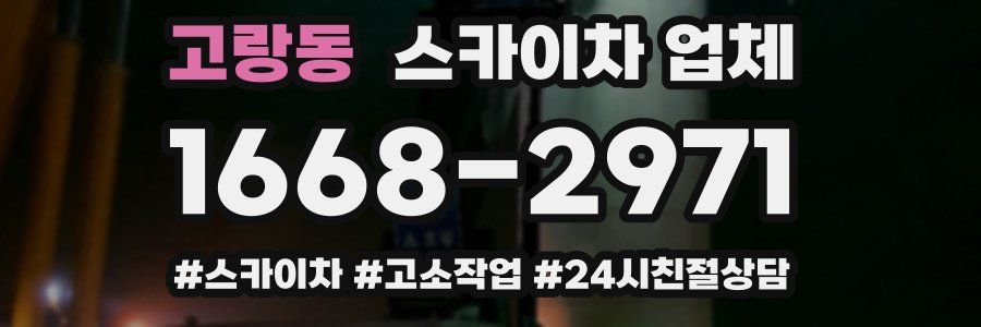 고랑동 스카이차 업체