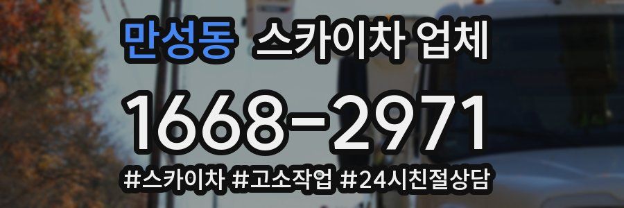 만성동 스카이차 업체