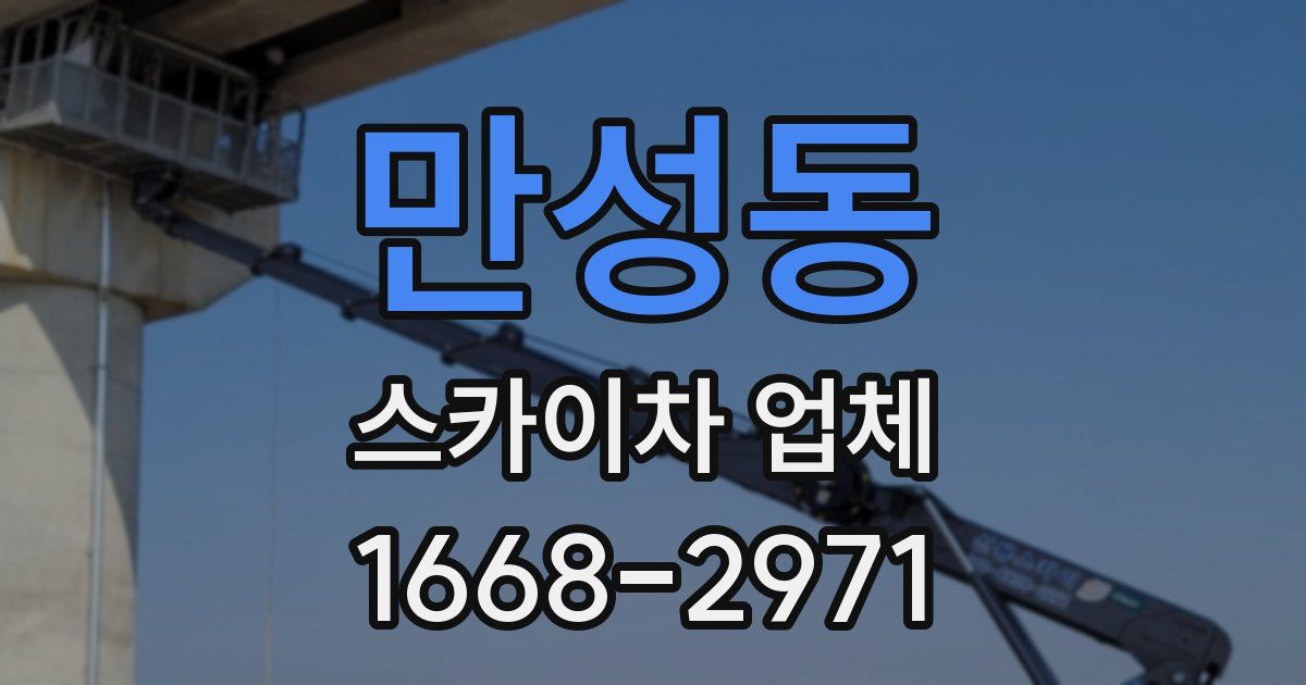 만성동 스카이차 업체