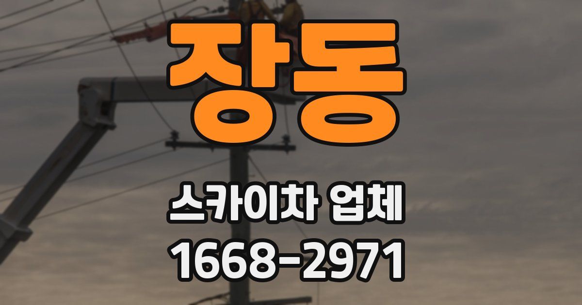 장동 스카이차 업체