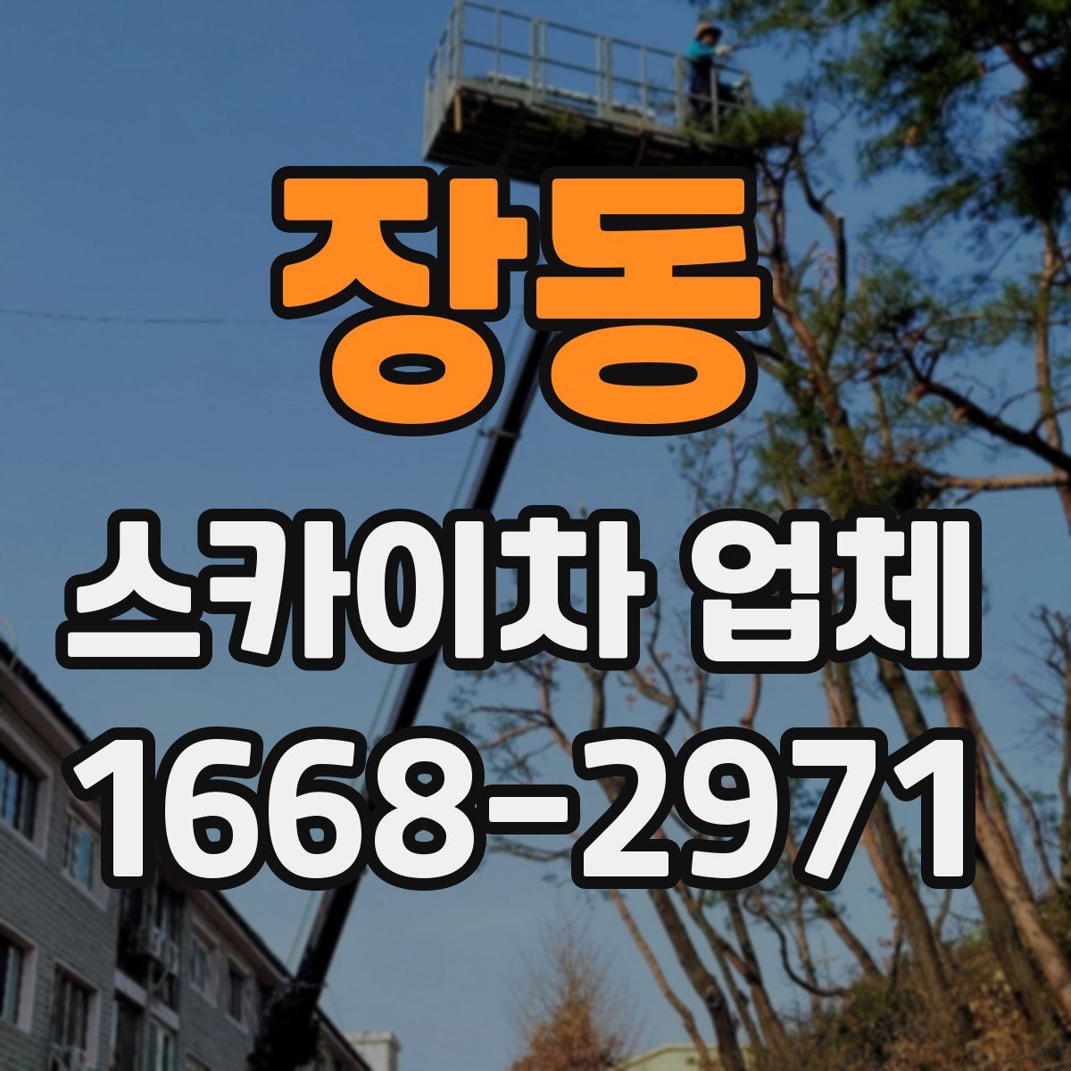 장동 스카이차 업체