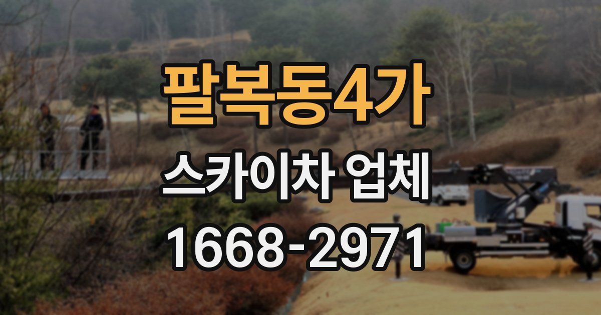 팔복동4가 스카이차 업체