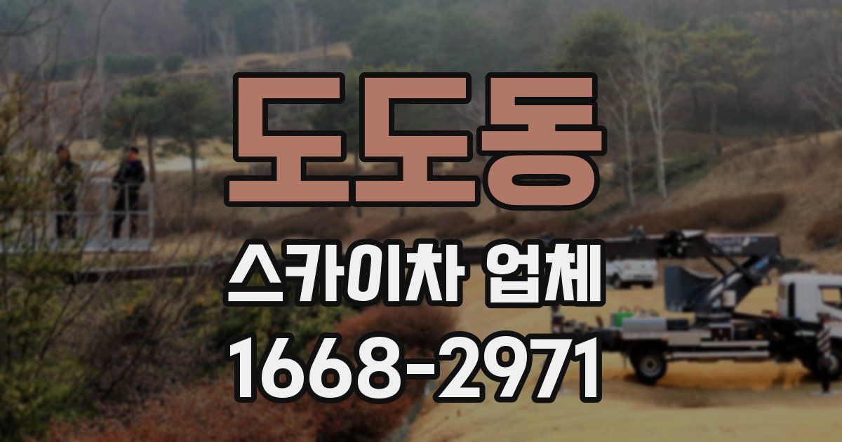 도도동 스카이차 업체
