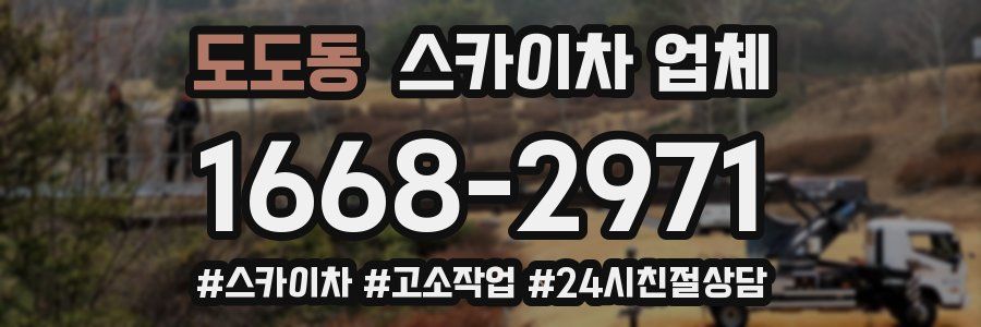 도도동 스카이차 업체