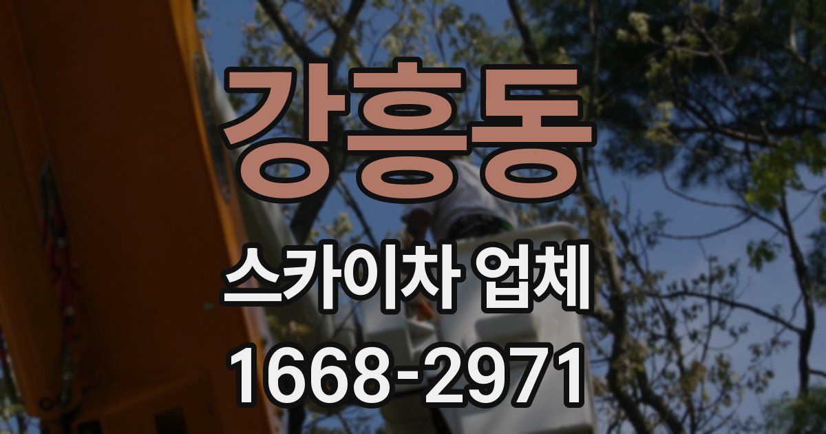 강흥동 스카이차 업체