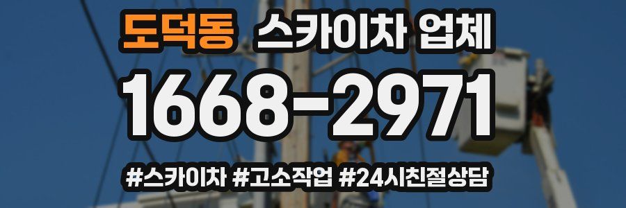 도덕동 스카이차 업체