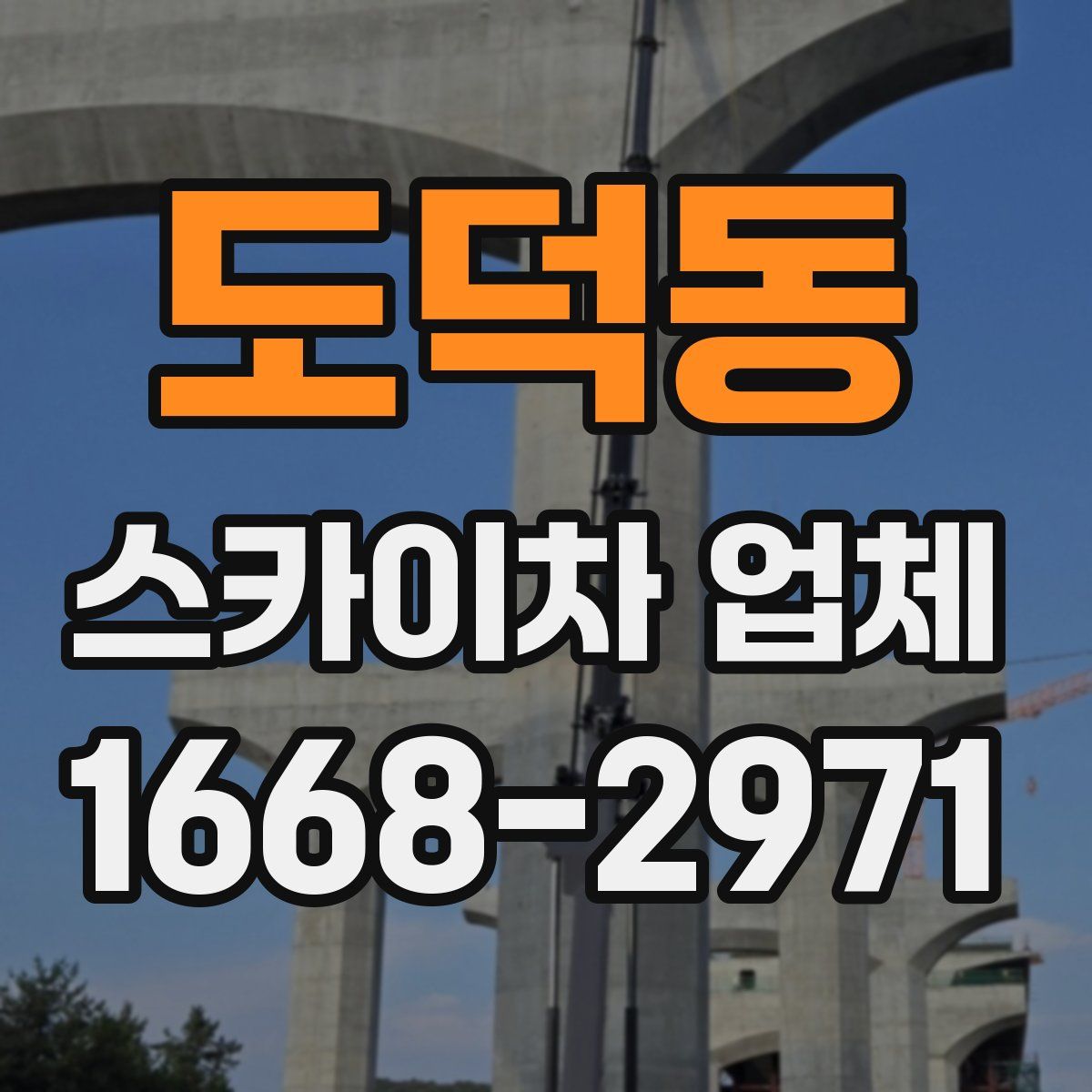 도덕동 스카이차 업체