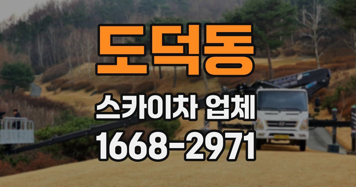 도덕동 스카이차 업체