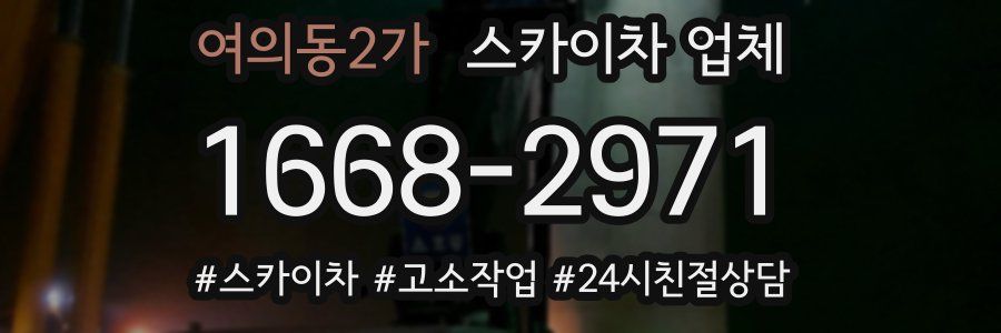 여의동2가 스카이차 업체
