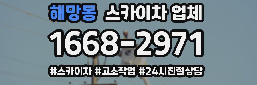 해망동 스카이차 업체