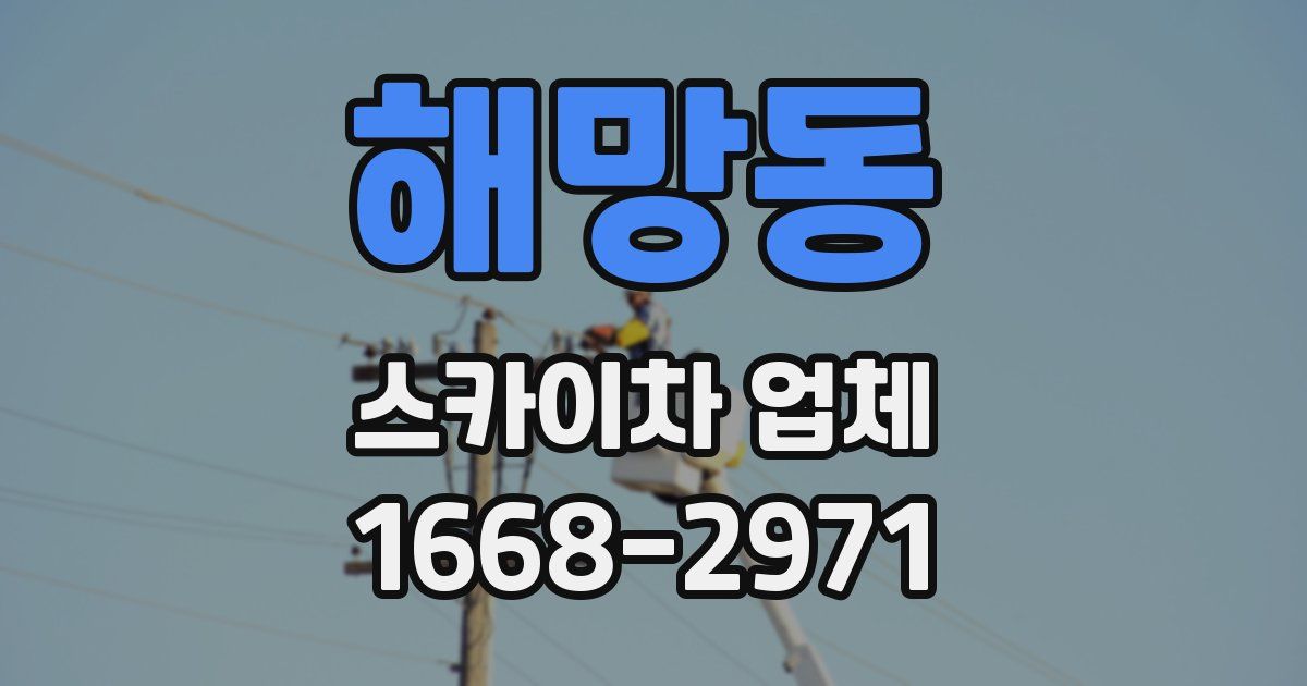 해망동 스카이차 업체