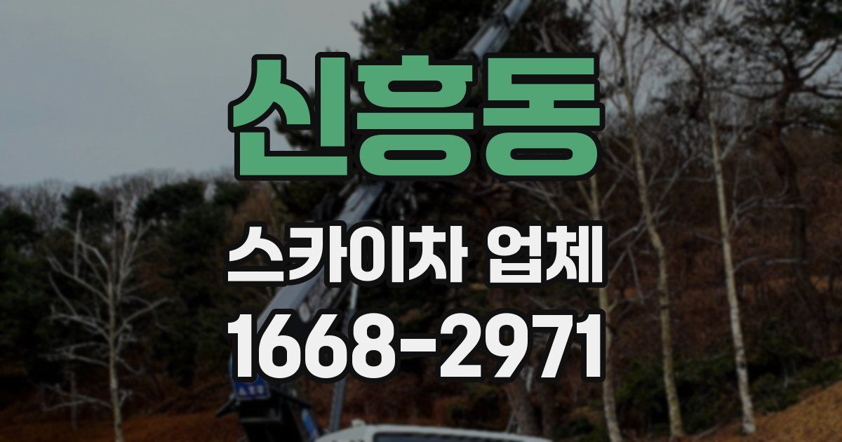 신흥동 스카이차 업체