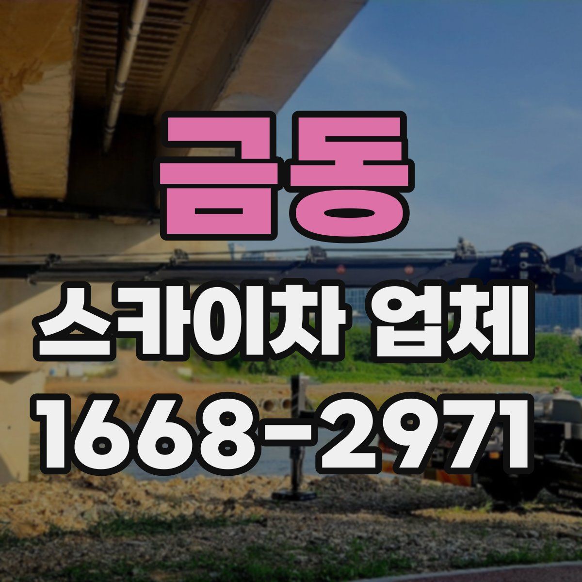금동 스카이차 업체