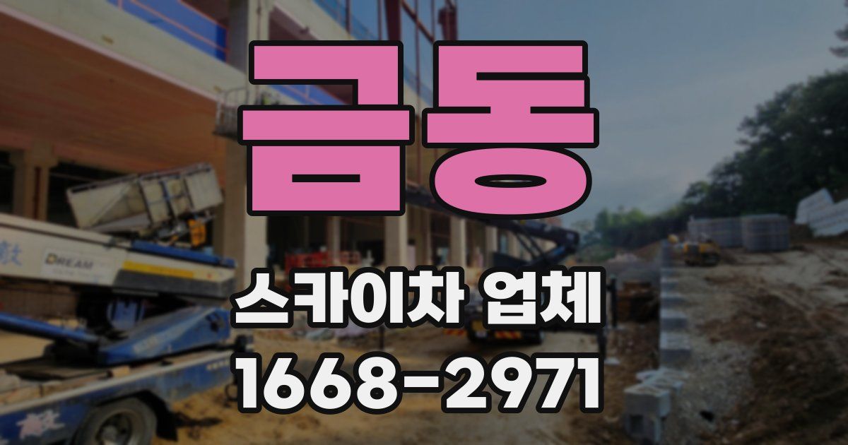 금동 스카이차 업체