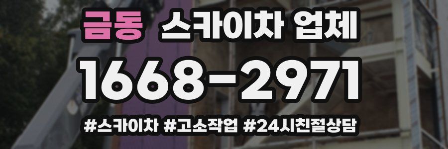 금동 스카이차 업체