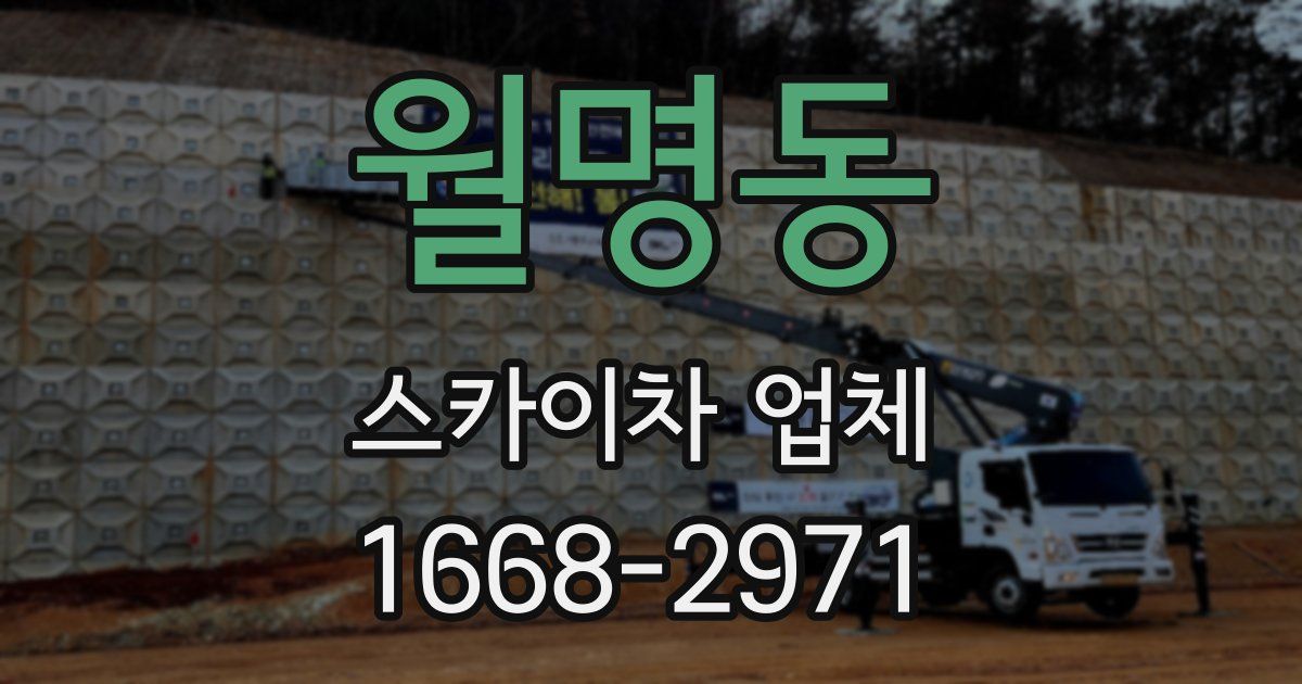 월명동 스카이차 업체