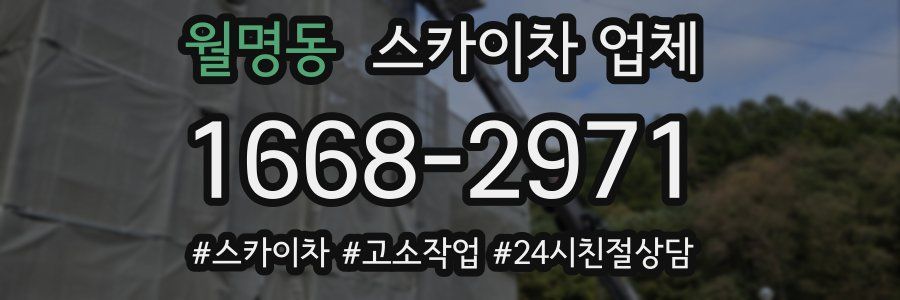 월명동 스카이차 업체