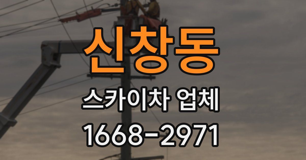 신창동 스카이차 업체