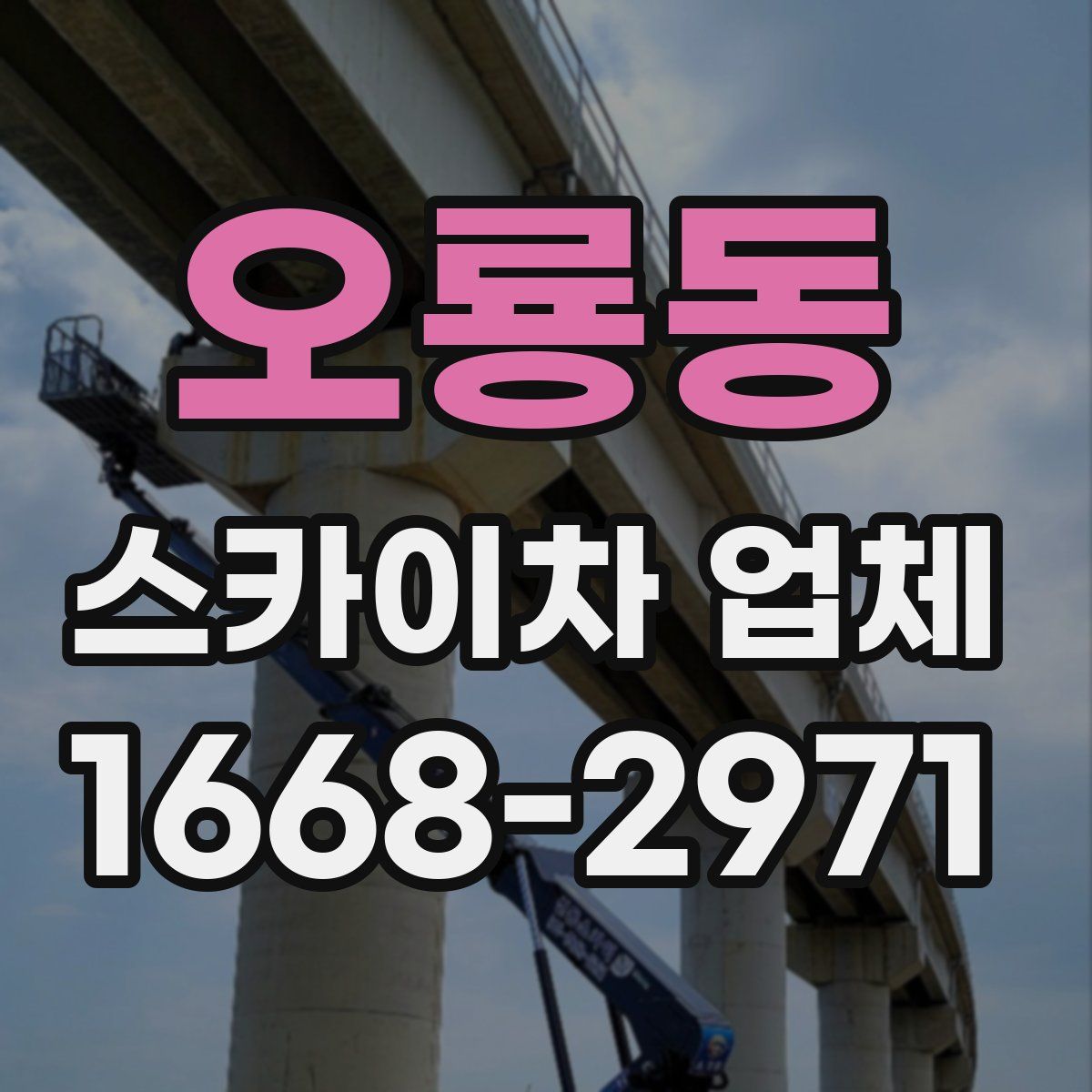 오룡동 스카이차 업체