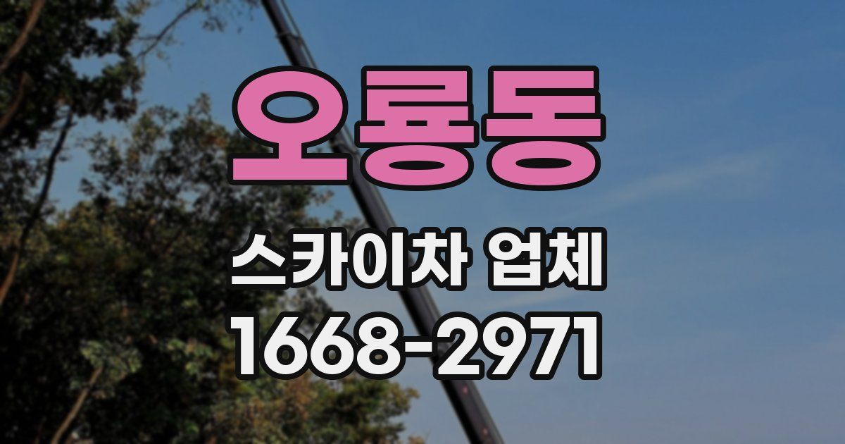 오룡동 스카이차 업체