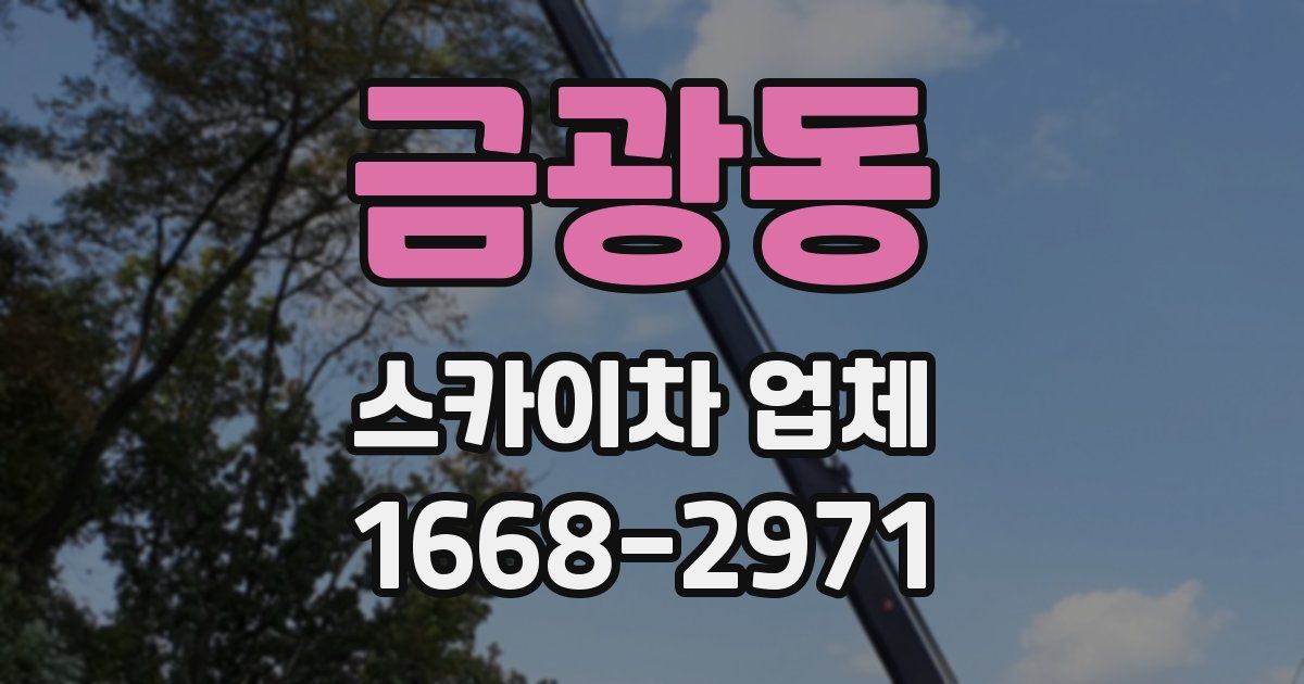 금광동 스카이차 업체