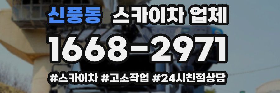 신풍동 스카이차 업체