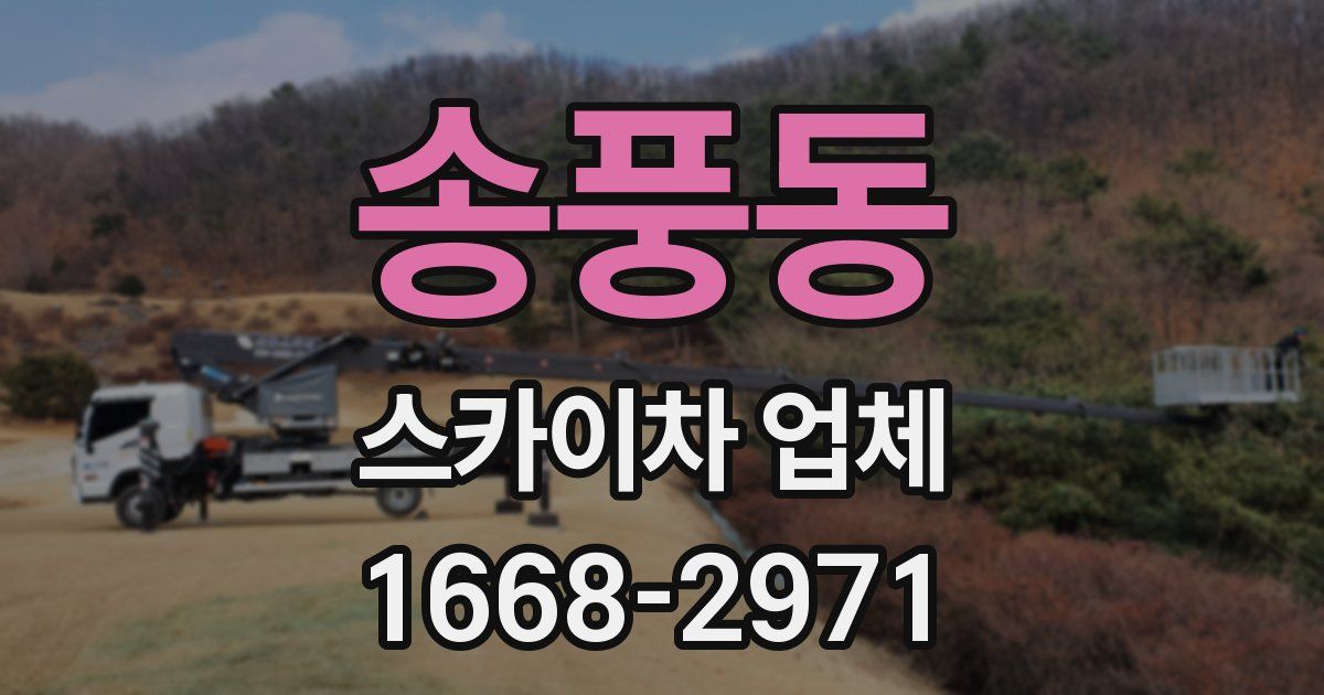 송풍동 스카이차 업체