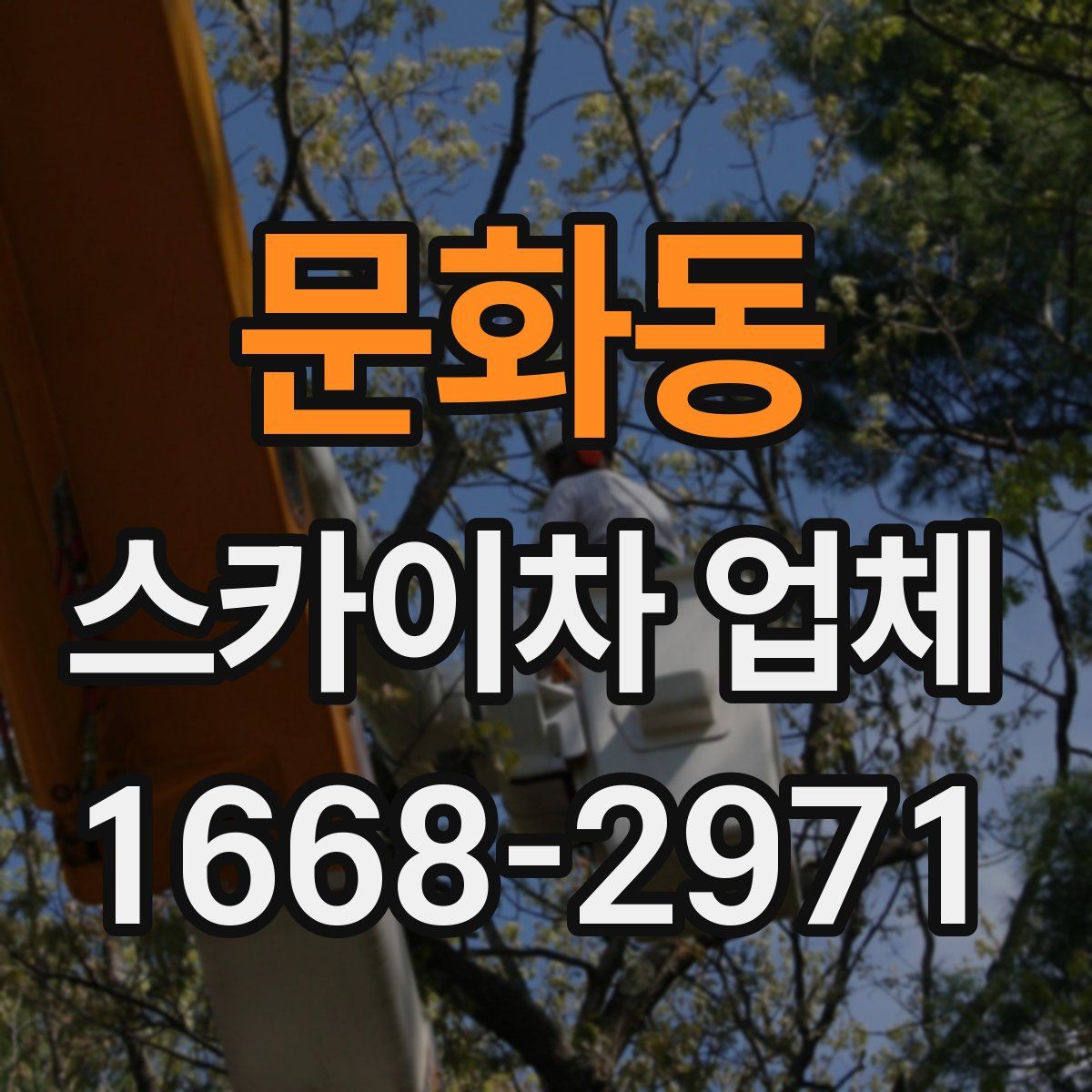 문화동 스카이차 업체