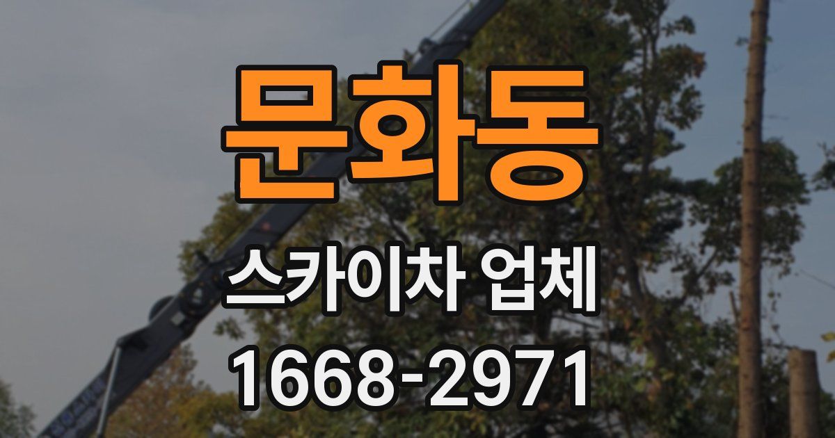 문화동 스카이차 업체
