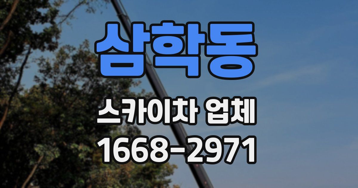 삼학동 스카이차 업체
