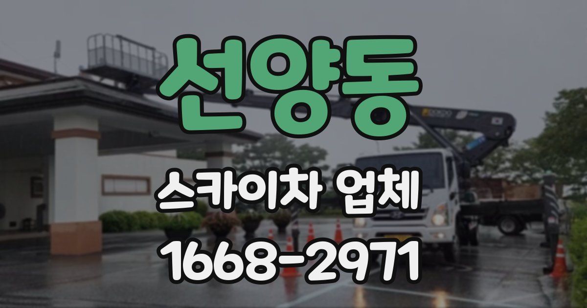 선양동 스카이차 업체